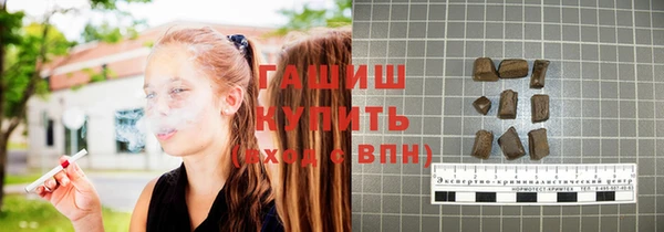 сатива Каменка