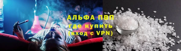 сатива Каменка