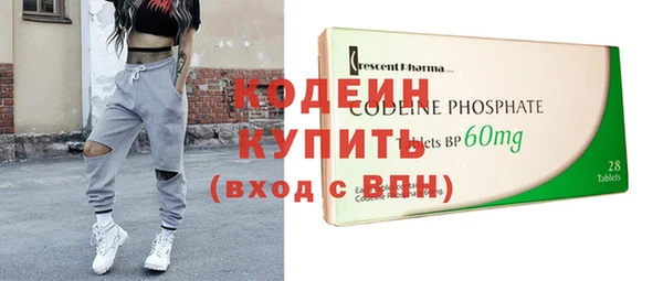 сатива Каменка