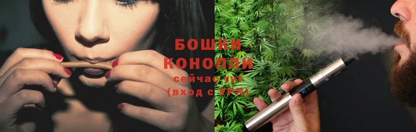 стафф Каменногорск