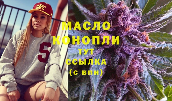 сатива Каменка