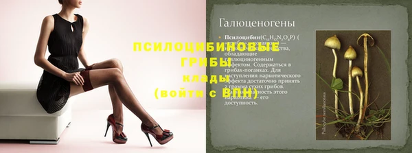 стафф Каменногорск