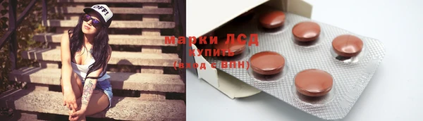 стафф Каменногорск