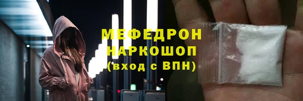 сатива Каменка