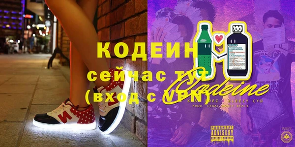сатива Каменка