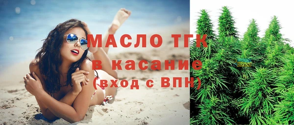сатива Каменка