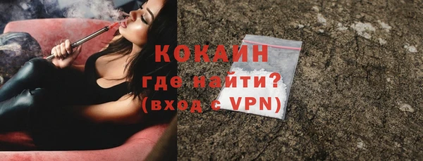 сатива Каменка