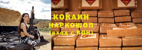 сатива Каменка