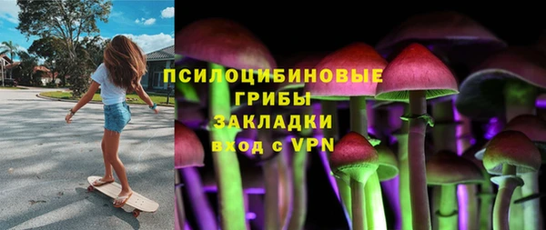 mdpv Каменск-Шахтинский