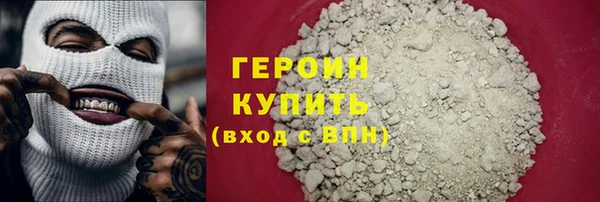 сатива Каменка