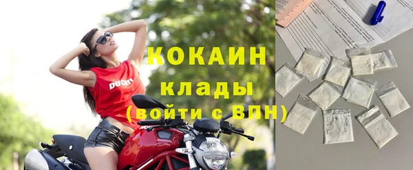 сатива Каменка