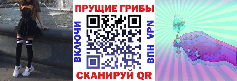 Купить где  Задонск  Псилоцибиновые грибы Psilocybe 