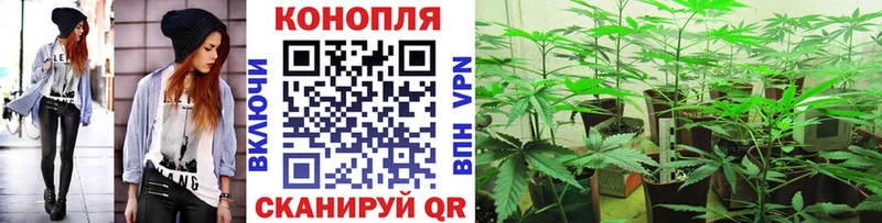 Купить закладки  Задонск  Конопля план 